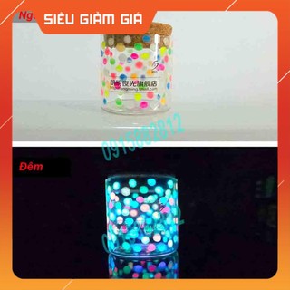 [TRỢ GIÁ] ( hàng sẵn ) Bột dạ quang HỘP 5GRAM