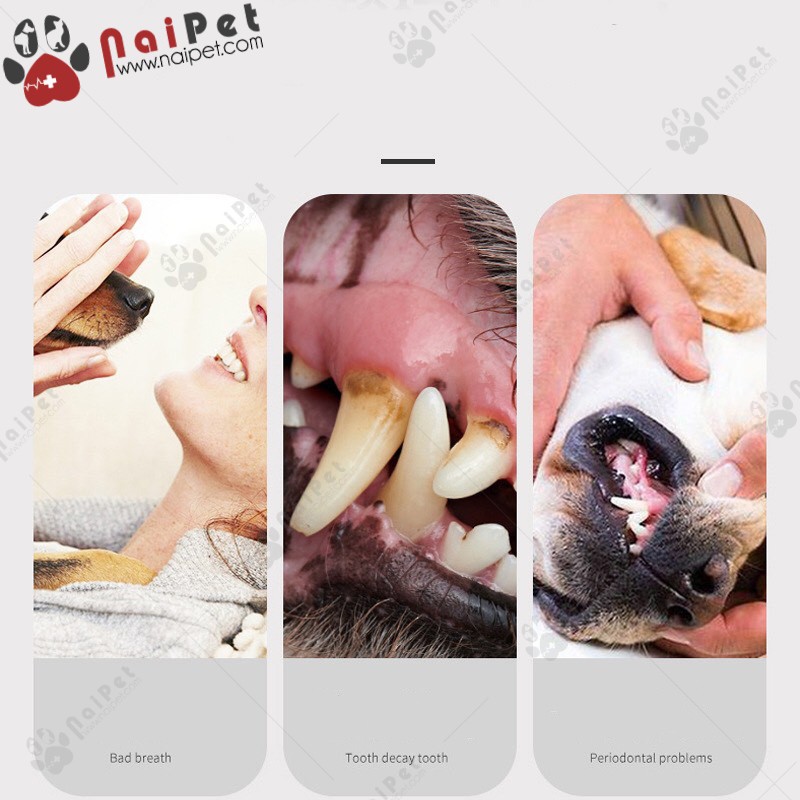 Bộ Đánh Răng Kem Đánh Răng Bàn Chải Đánh Răng Chó Mèo Pet Joothpaste