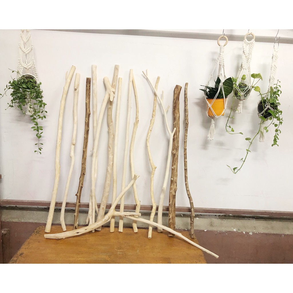CÀNH CÂY GỖ TỰ NHIÊN CHUYÊN LÀM MACRAME_Chiều dài 80 cm