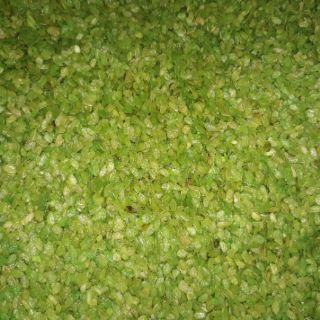 Cốm khô xanh 1kg