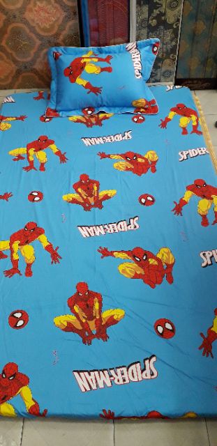 Bộ ga gối Cotton 100% cao cấp Alena