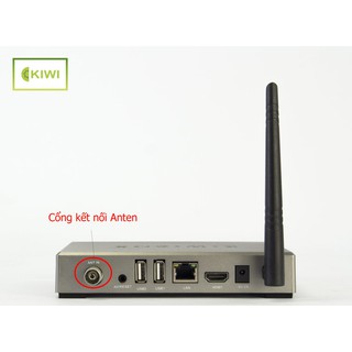 Android tivi Kiwibox T