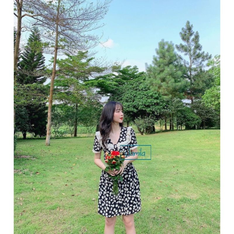 Đầm suông hoa cúc họa mi cổ viền bèo siêu xinh siêu hot