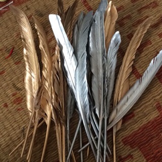 Lông vũ nhũ ánh kim