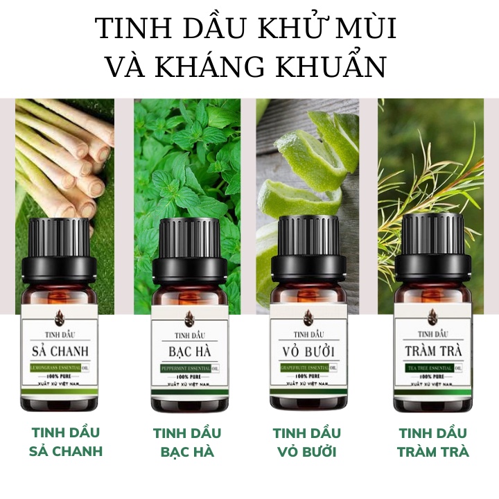 Tinh dầu thiên nhiên tự chọn mùi lọ 10ml tinh dầu xông phòng cao cấp Din House