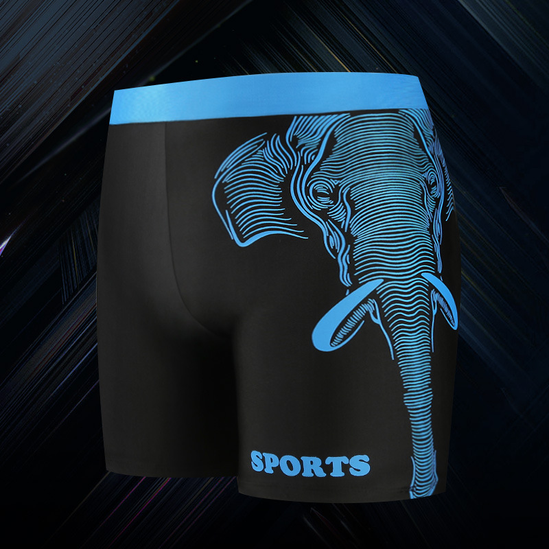 Quần bơi nam thời trang Hàn Quốc099906 | BigBuy360 - bigbuy360.vn