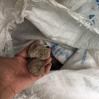 Đá Nham Thạch Trắng (đá lông vũ) 1kg