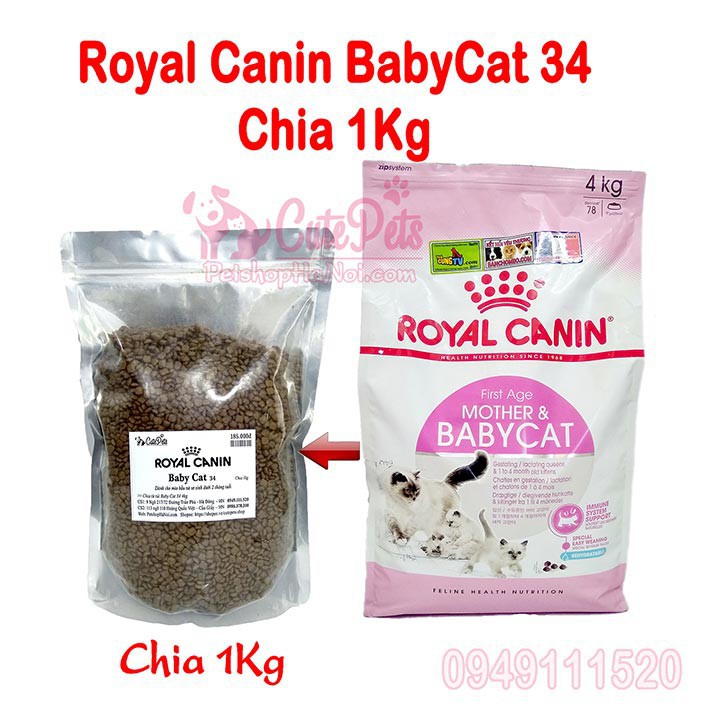 [ Hàng Hot ] 😻 Royal Canin BabyCat 34 1kg - Thức ăn cho mèo con - CutePets Phụ kiện chó mèo Pet shop Hà Nội