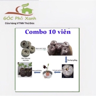 Combo 10 viên nén xơ dừa