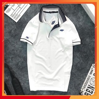 Áo Thun Nam 👉FREESHIP – HÀNG CHẤT👉 Cổ Bẻ Viền Cổ Viền Tay, Chất Liệu Thun Cá Sấu Cao Cấp - R85