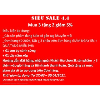Heo đất Lợn Pi tiết kiệm dễ thương