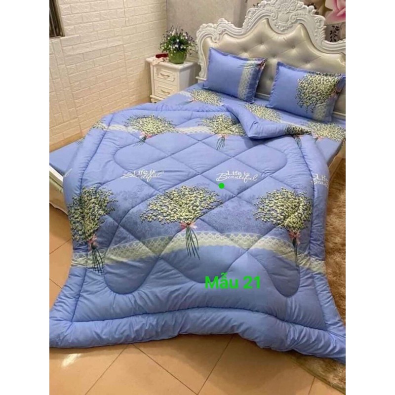 ga giường cotton
