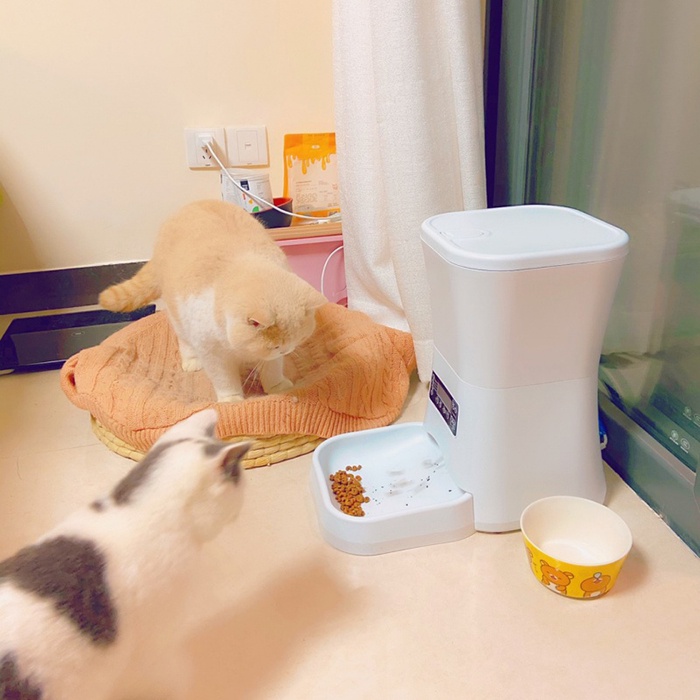 Máy cho mèo ăn tự động thông minh 11L, máy nhả thức ăn cho chó mèo - thú cưng