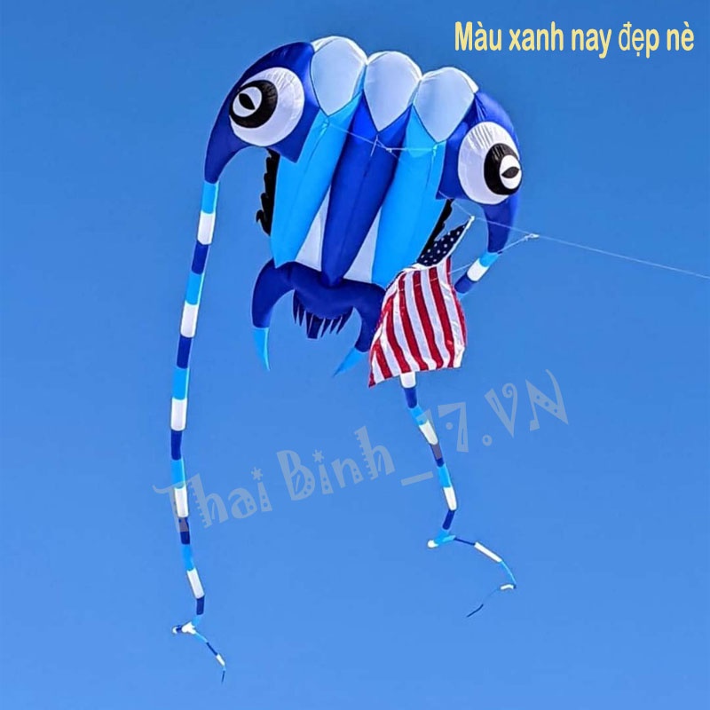 Diều Đầu Dế - Diều Khí Động Học Đầu Dế 7m2