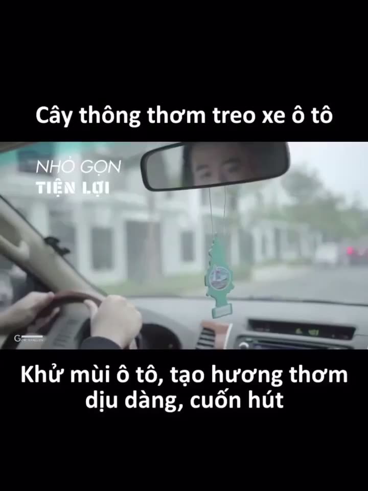 Lá thơm, sáp thơm, lá thông treo xe ô tô , văn phòng | BigBuy360 - bigbuy360.vn