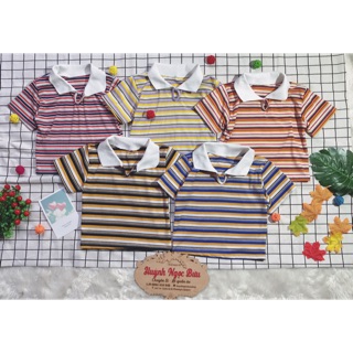 CROPTOP POLO SỌC ULLZANG