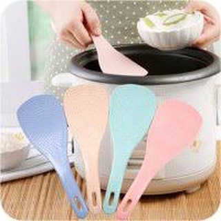COMBO 3 Thìa xới cơm lúa mạch - Muôi cơm lúa mạch 1600