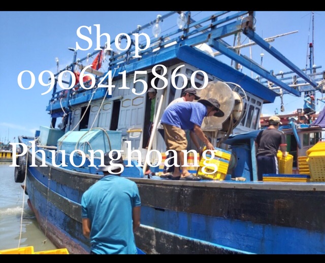 CHẢ CÁ CHIÊN ĐẶC SẢN QUY NHƠN - BÌNH ĐỊNH - MIỀN TRUNG