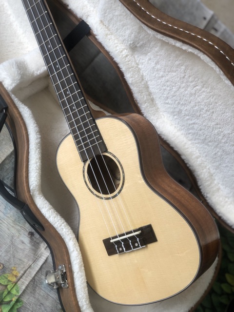 Đàn Ukulele Concert Full Gỗ Mahogany Giá Rẻ