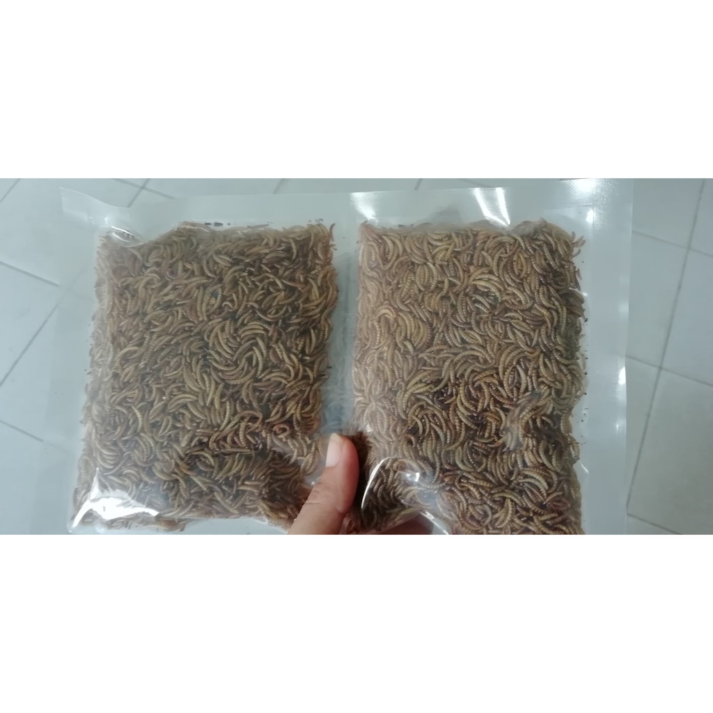 Sâu sấy khô hamster