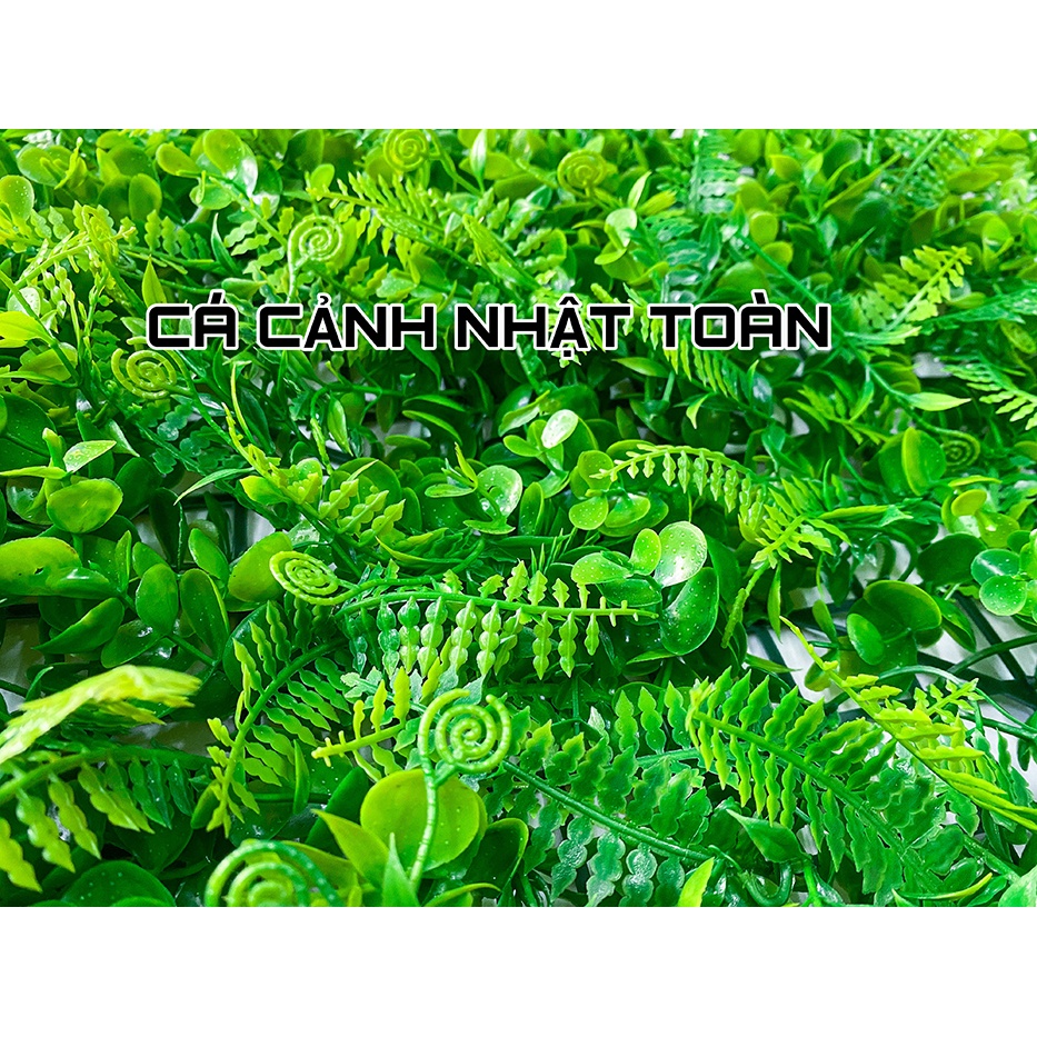 THẢM CỎ DƯƠNG SỈ NHÂN TẠO TRANG TRÍ BỂ CÁ, TIỂU CẢNH 60X40CM
