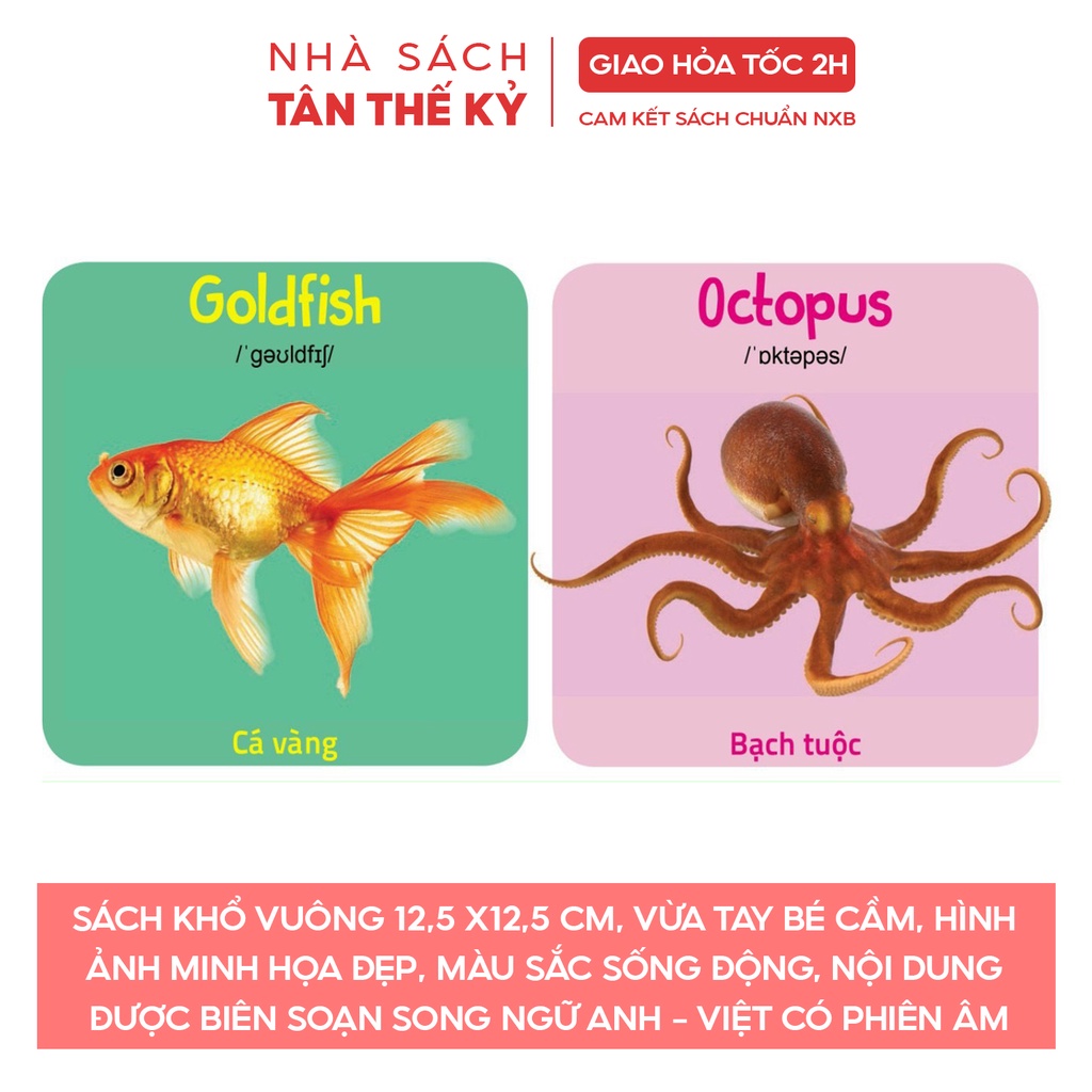 Sách - Thư viện hình ảnh đầu tiên 10 chủ đề song ngữ Anh Việt (Có file nghe)