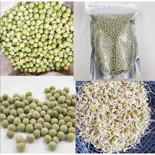 1kg Hạt giống mầm đậu hà lan 6-8 ngày thu hoạch