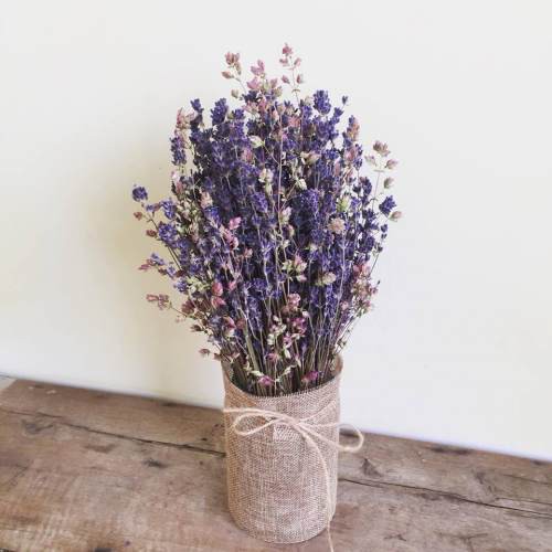 Hoa Lavender khô(oải hương)