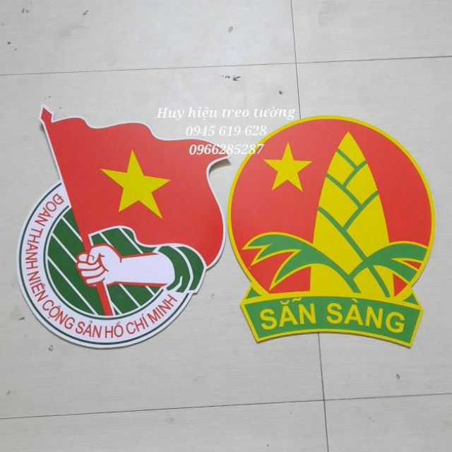Huy hiệu đội treo tường - Logo  đoàn đội treo phòng hội trường