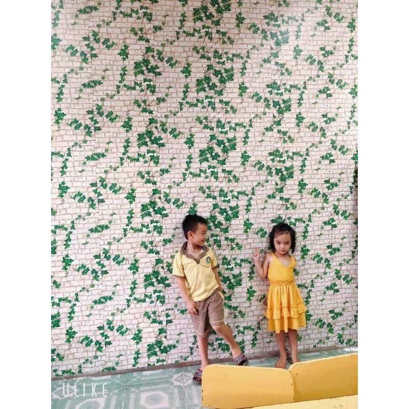 XỐP dán tường dây leo, lích thước 70*70cm, dày 3 li | BigBuy360 - bigbuy360.vn