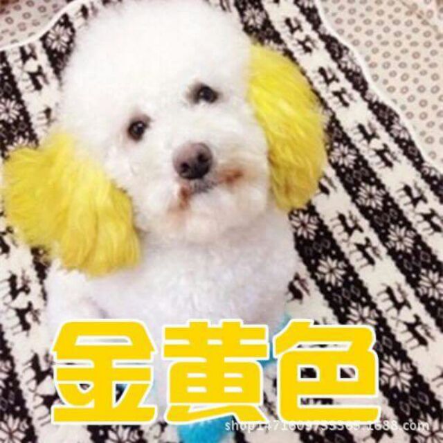 Thuốc nhuộm lông cho cún