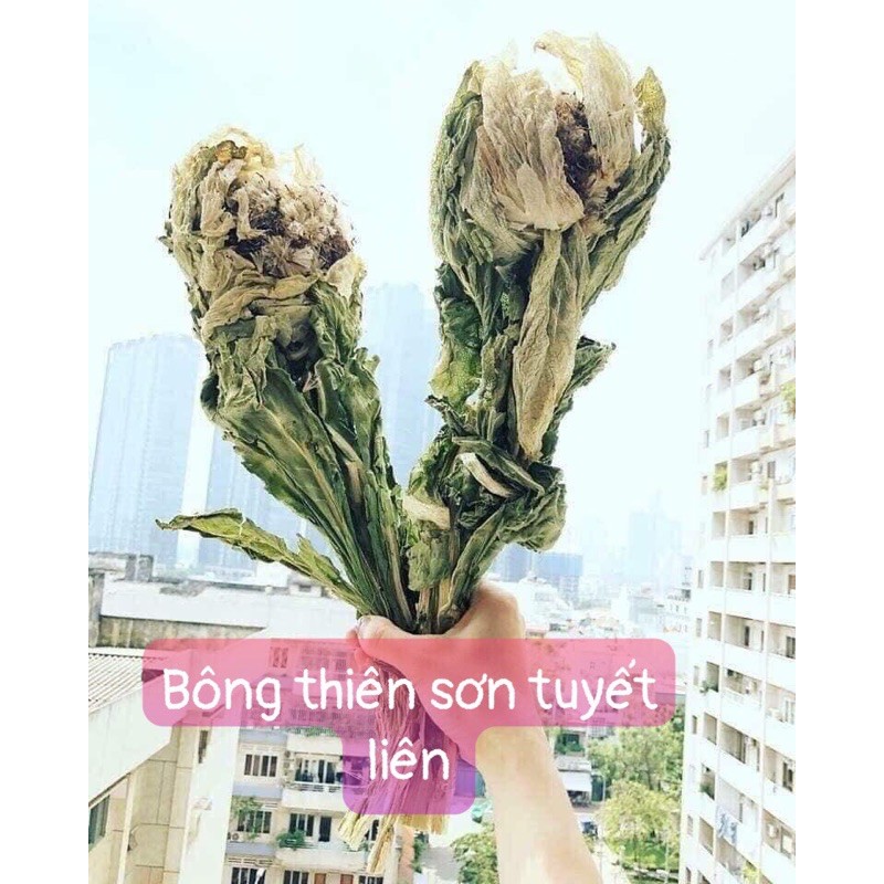 Bông Thiên Sơn Tuyết Liên Hoa Khô Loại 1