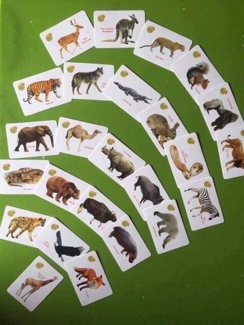 Thẻ Học Thông Minh Song Ngữ 16 Chủ Đề ( 0tháng - 6 tuổi )