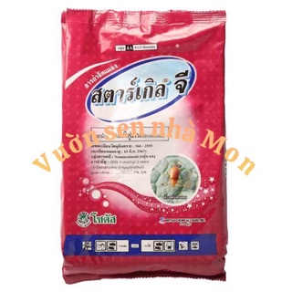 Thuốc trị rệp cho sen đá thái lan