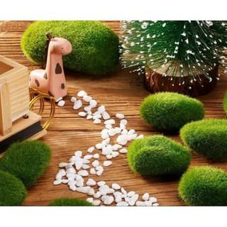 Đá Rêu cục trang trí( bịch to)