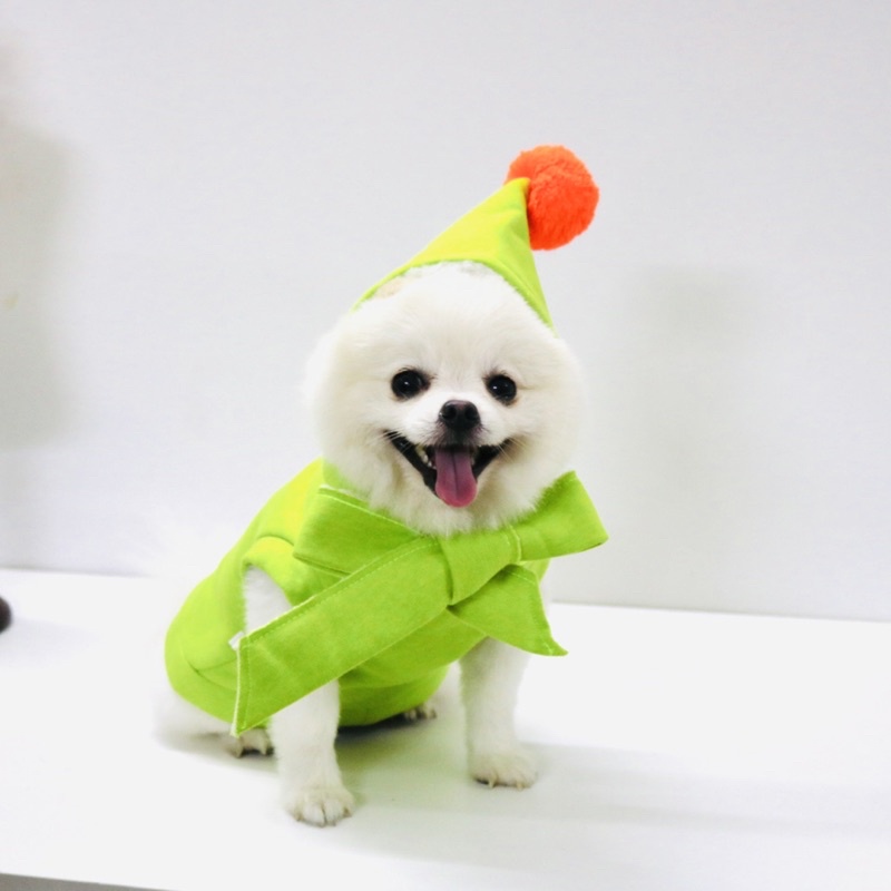 Áo Hoodie Thêu Gấu Có Nón Cho Thú Cưng CARAETS