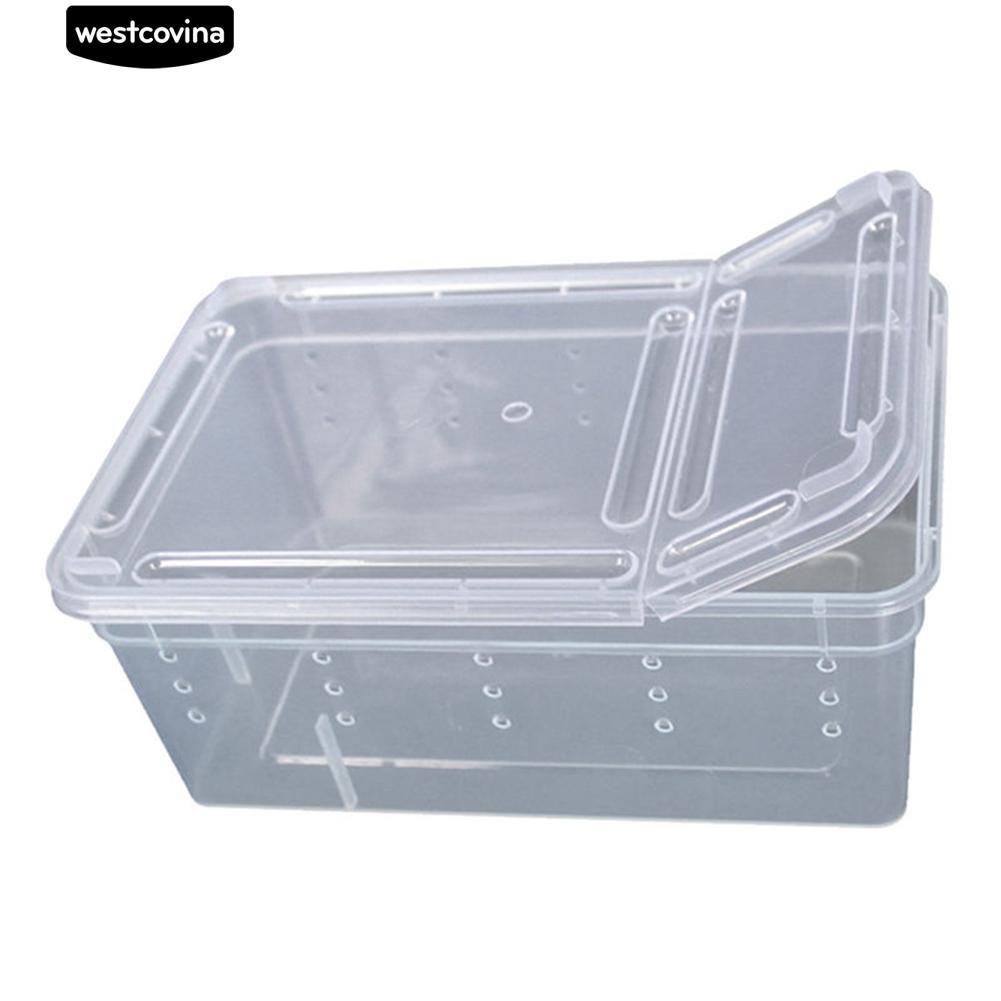 Hộp sinh sản cho thú cưng bò sát/ côn trùng/ lưỡng cư