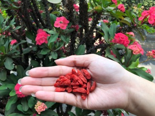 Kỷ tử -100gr
