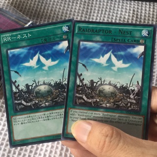 [Thẻ bài yugioh] Raidraptor - Nest - SECE-EN054 & SPWR-JP026
