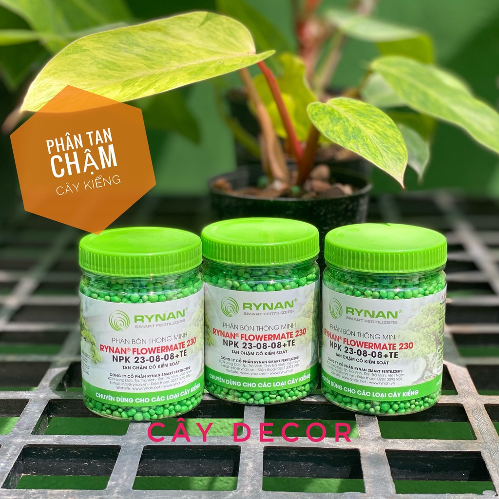 Phân tan chậm cho cây kiểng RYNAN hũ 150g
