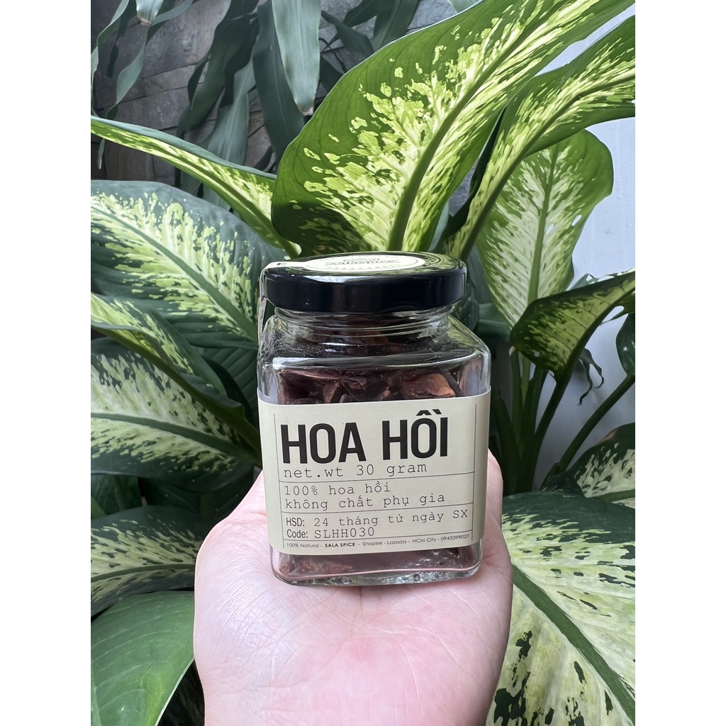 Hoa Hồi SALA SPICE Star Anise gia vị nấu phở , các món Trung thơm ngon dậy mùi