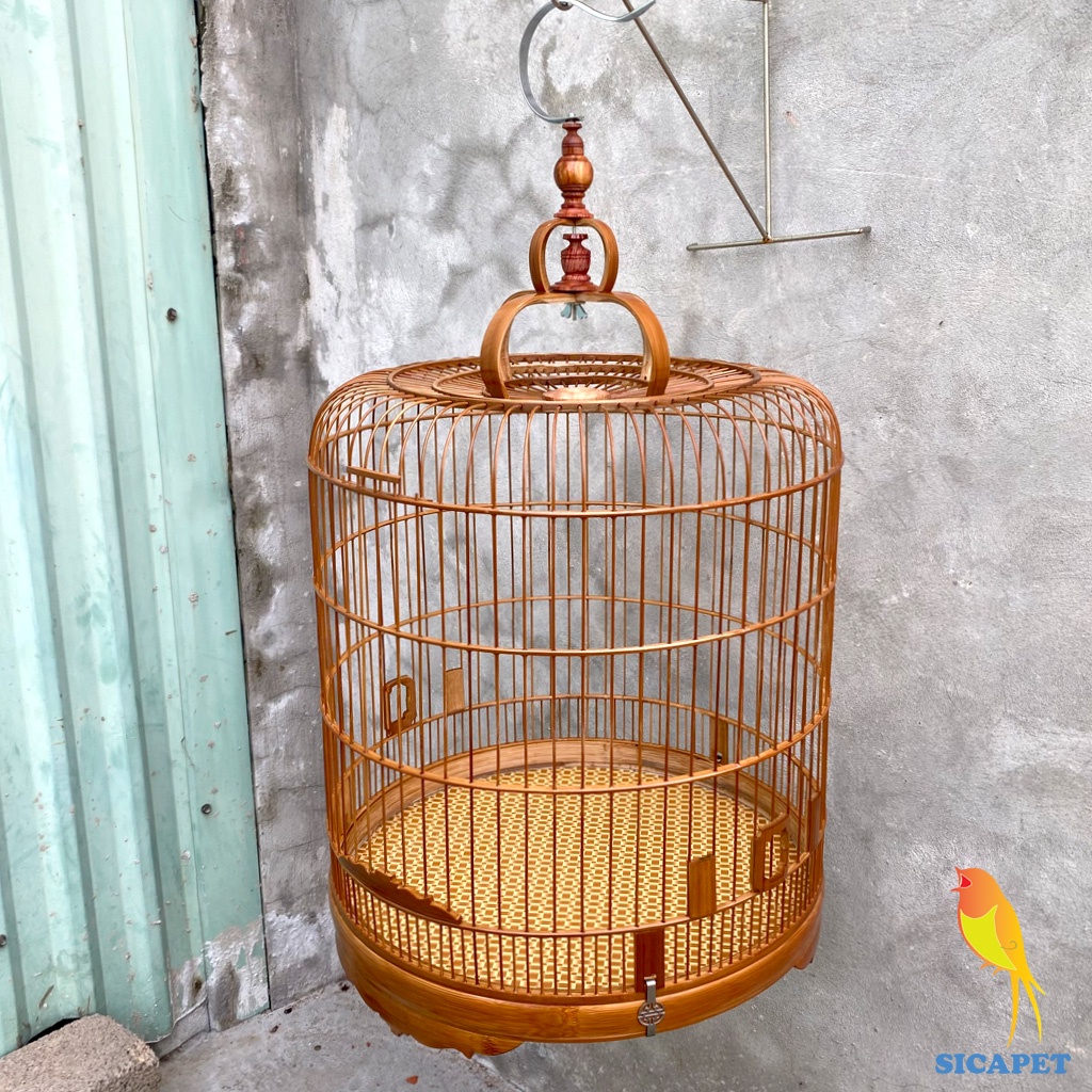 Lồng chim ChíCh Chòe - chim Chòe Than - chim Chào Mào - chim Chòe Lửa, Lồng Chòe Than - Chào Mào đẹp SICAPET