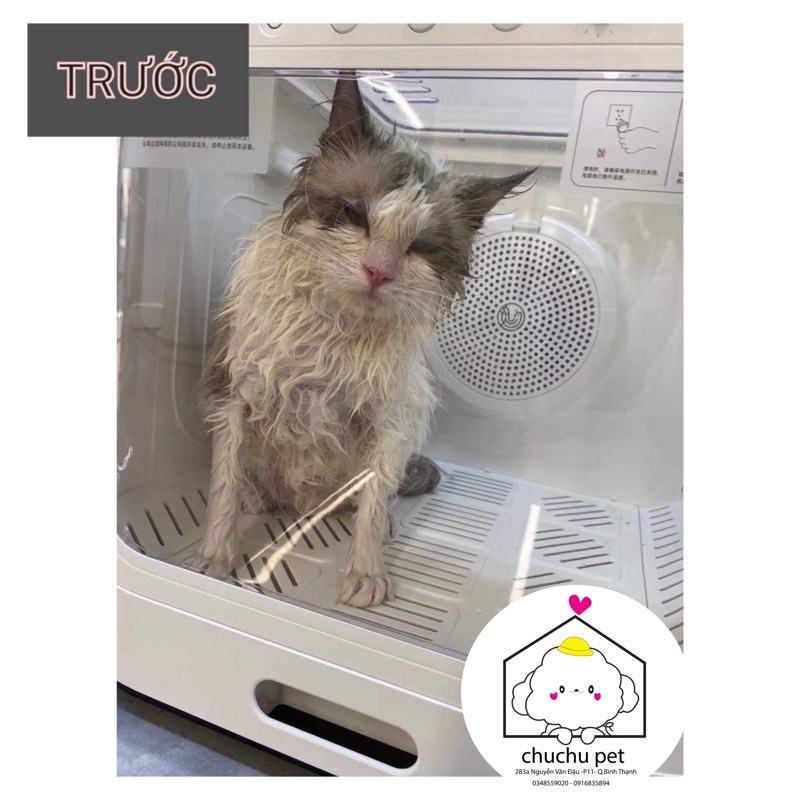 Lồng sấy máy sấy tự động thông minh cho chó mèo Pet Marvel Cao cấp-chuyên dụng cho spa thú cưng
