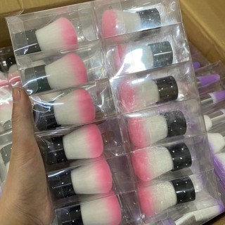 Chổi phủi bụi Nail (Cây ngắn)