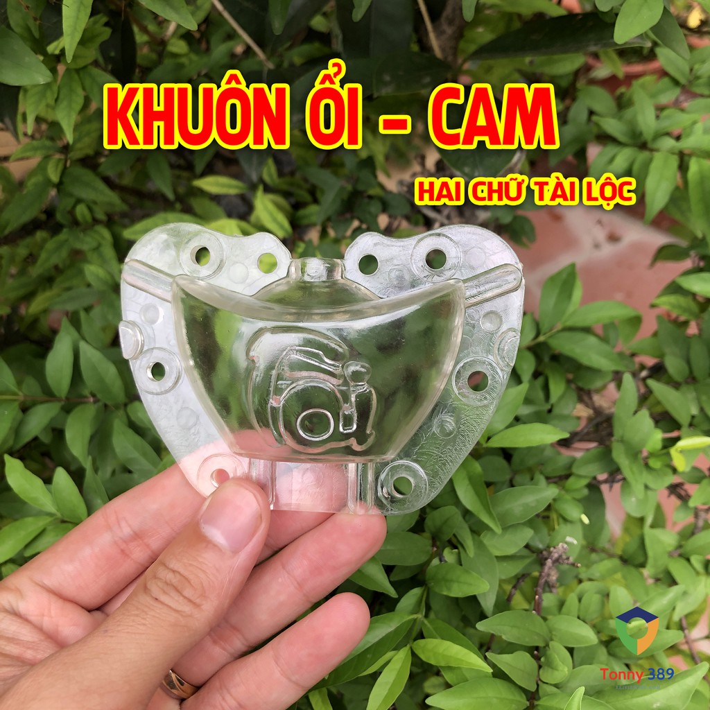 Khuôn tạo hình trái cây Ổi - Cam 2 chữ tài lộc