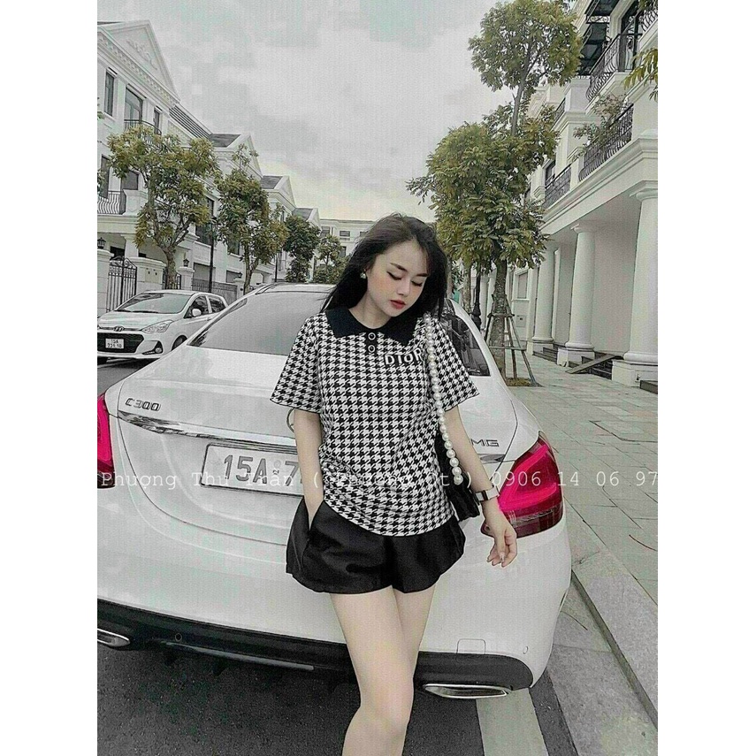 Set bộ đùi thun, set bộ đùi nữ mặc đi chơi, set tiểu thư Hàn Quốc, áo thun kẻ caro, quần short nữ