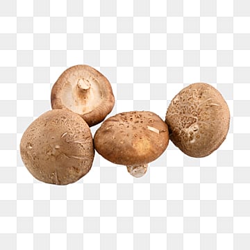 Chai 500ml nước tương nấm Đông Cô mới - Date mới 24 tháng.