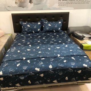 Ga chun chần EVERON EPC-21051 160*200, 180*200 (CHỈ GỒM 1 GA)