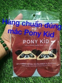 Tất Pony kid cho bé yêu