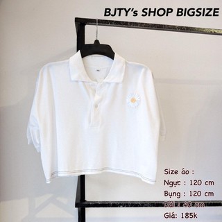 Combo một áo + hai chân váy big size